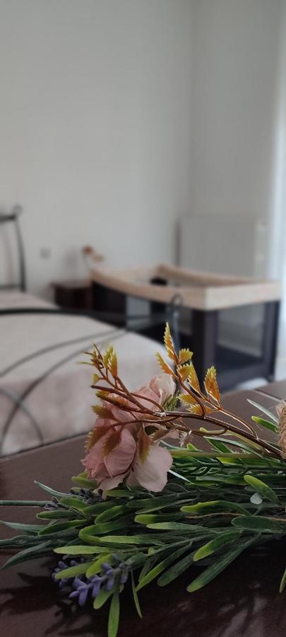 Rosanera&Linus Villa Manduria Ngoại thất bức ảnh